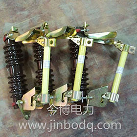 RW7-10/100A RW7-10/200A戶外跌落式熔斷器RW7-12KV跌落式保險（xiǎn）