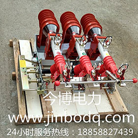 FN12-12RD/125-31.5負荷開關（guān）FN12-10RD 熔斷（duàn）器式（shì）高壓（yā）戶內開關