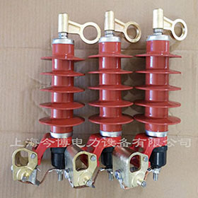 HY5WS-17/50DL-TB可卸式避雷器更換配件戶外（wài）高壓複合氧（yǎng）化鋅避雷器