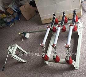 FN5-12RD/630A戶內高壓（yā）負荷開關（guān）及熔斷器組合（hé）電器掛牆式