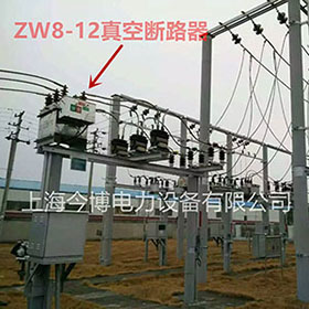 ZW8-12/630a高壓柱上真空斷路器（qì）10KV