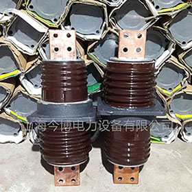 CWB-CWC-CWW-CWWB-10-20-35KV/1000A電站用高壓穿牆套管陶瓷